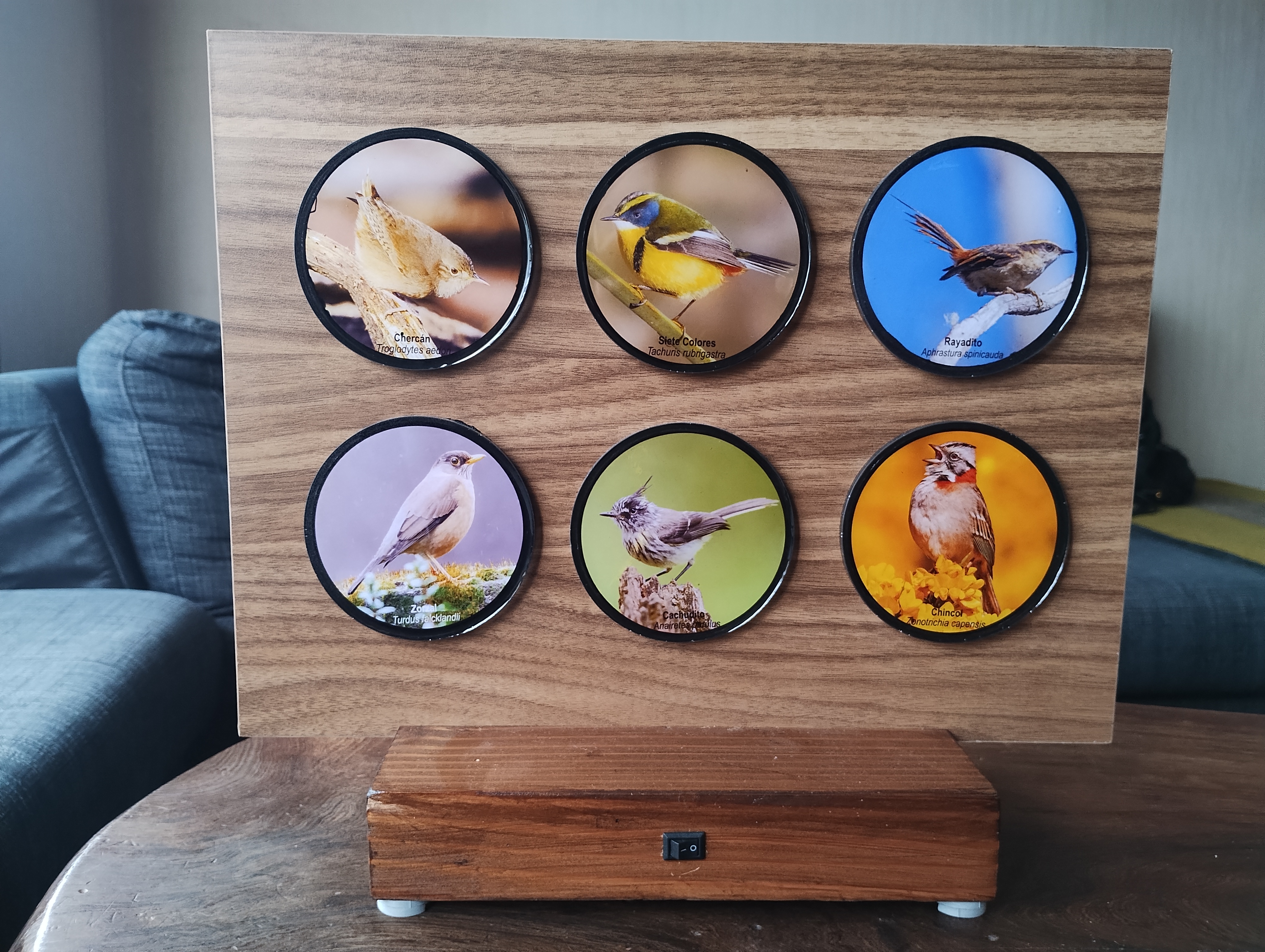 Panel interactivo de seis especies de aves