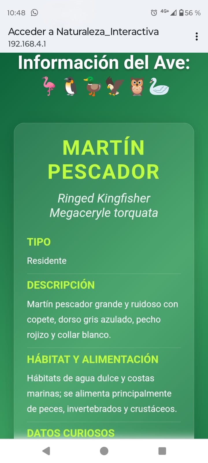 Ficha digital completa del Martín Pescador mostrada en un teléfono conectado al panel